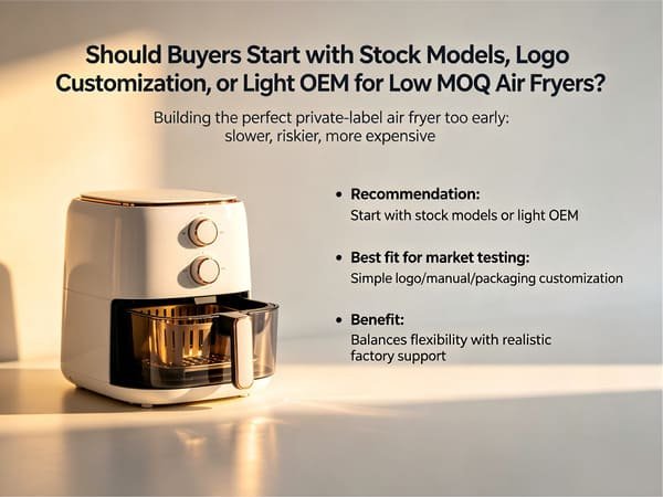 Stock model vs logo customization vs light OEM for air fryers